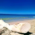 Tasinanta カピターナ