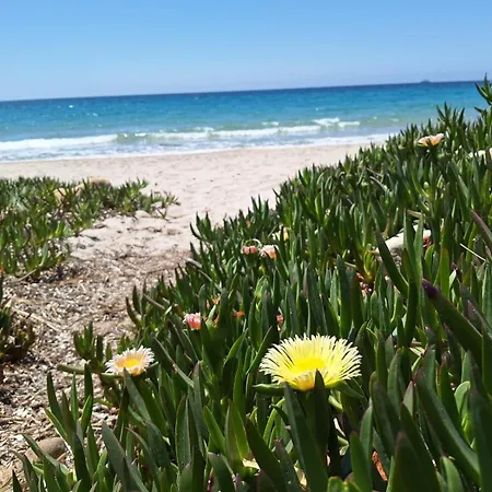 Appartamento Tasinanta *