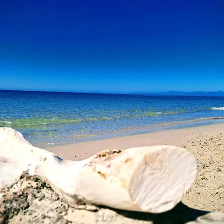 Tasinanta Capitana
